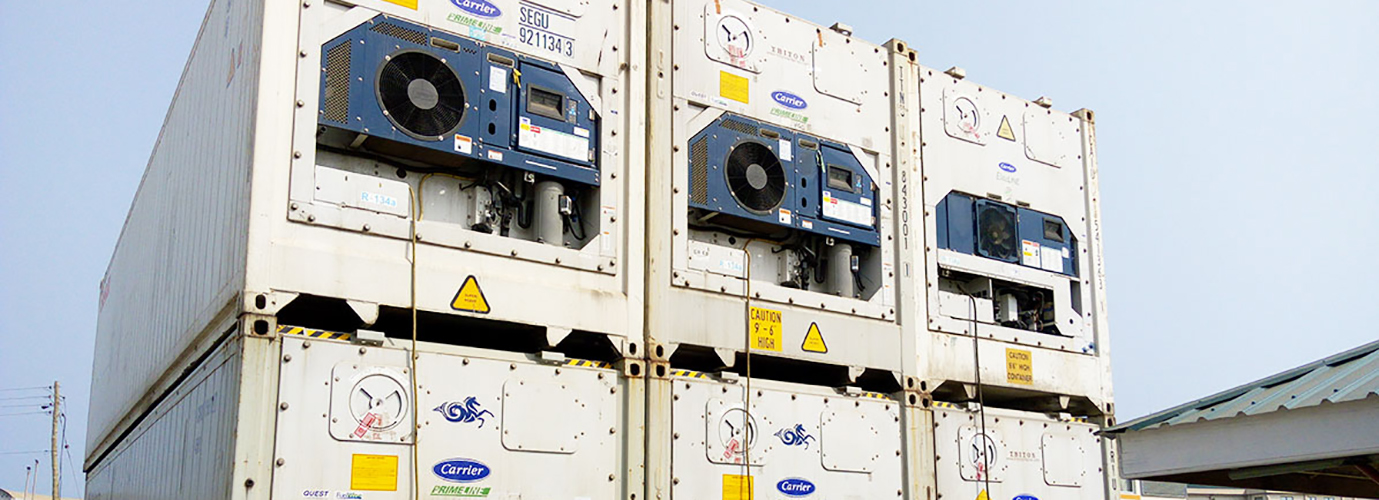 Reefer container servicing